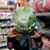 Amy Snook's profile image