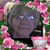 Brenda Bryant Monroe's profile image