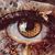 Leslie McIlvaine's profile image