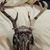 Nancy Schmit Brockman's profile image