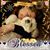 Ivette Rivera's profile image