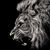Kevin Wolf's profile image