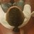 Christ Vo's profile image
