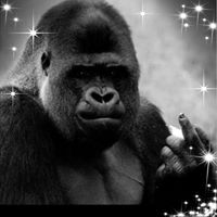 ARon Jebiz's profile image