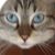Claudine Jeanne Mousset's profile image
