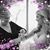 Laurel Wallace Foster's profile image