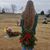 Cindy Weaver's profile image