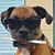 Dawn Keeney Heath's profile image