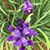 Kate Willard Carson's profile image