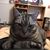 Soni Smith's profile image