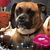 Debbie Maisano Schubert's profile image