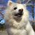 Tina Chen's profile image