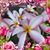 Marilyn Dockery's profile image