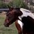 Janet French's profile image