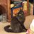 Denise Henkelman Brown's profile image