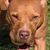 Jennifer Pugh O'Connor's profile image