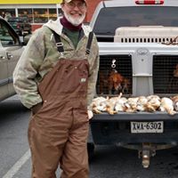 John Winters's profile image