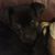 Jenn Elfi Thomas's profile image