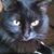 Teresa Miller's profile image