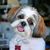 Elaine Novitsky-Zacks's profile image