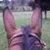Eva Lamiano's profile image