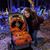 Molly Hake's profile image