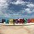 Claudia J Caudillo's profile image