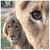 Ken Grobe's profile image