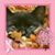 Misty Kat's profile image