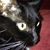 Peggy Peterson-Tierney's profile image