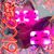 Tone Knee's profile image