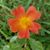 Jami N. Cooper's profile image