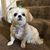 Maryanne Zeug's profile image