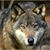 Leonard Nuda Waya Siebert's profile image