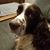 Mike-N'Karen Cathey's profile image