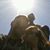 Lisa Schultz Schram's profile image