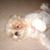 Annie Olivo-Champagne's profile image