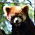Sally Weber Kristen's profile image