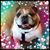 Jenny Glasgow Frazier's profile image