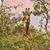 Tammie Lesesne's profile image