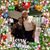 Maria Del Carmen Lopez's profile image
