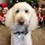 Julie Barwick's profile image
