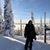 Patti Pallotta's profile image