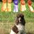 Sue Merchant's profile image