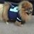 Colleen Hinton's profile image