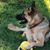 Cindy Turner Reaves's profile image