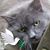 Bea Pody's profile image