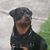 Bonnie Hillier's profile image