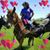 Marion Irvin's profile image