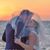 Layne Dempsey's profile image